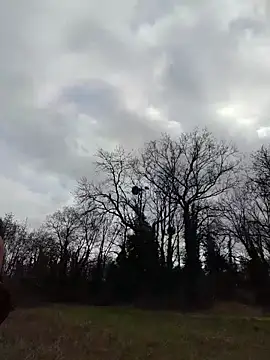 Sacha Scorp online show from February 7, 2:21 pm