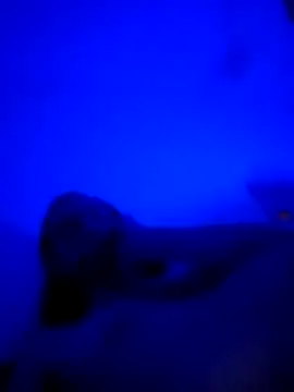 vladopen online show from January 7, 5:21 am