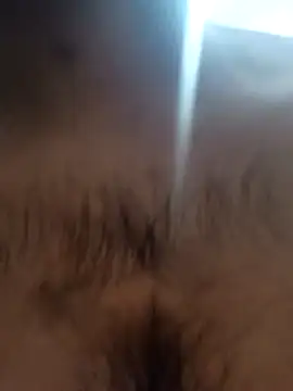 bnglrboy0886 online show from February 7, 12:14 am