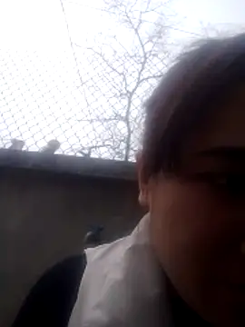 Belinda-686 online show from February 12, 7:36 am