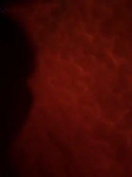 Snapshot of Sweetley chatting on February 2, 3:22 pm Sweetley online show from February 2, 3:22 pm