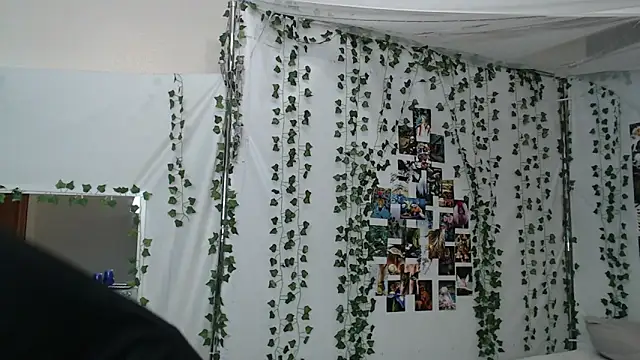 DeerMiracle online show from January 9, 4:04 am