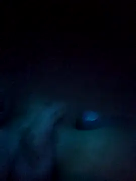 Snapshot of norvisito chatting on December 19, 6:20 am norvisito online show from December 19, 6:20 am