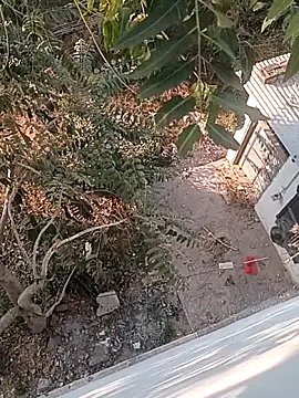 Snapshot of Prem_Ran chatting on December 22, 3:25 am Prem Ran online show from December 22, 3:25 am