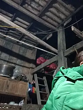 dakota-kis online show from February 1, 11:53 am