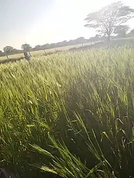 hornycouple20000 online show from January 14, 11:05 am