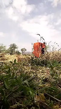 hornycouple20000 online show from March 19, 6:50 am