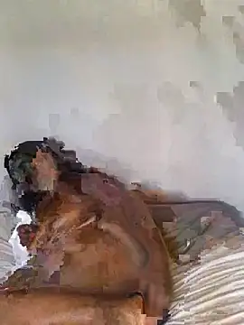 Snapshot of babepear chatting on February 25, 6:34 am babepear online show from February 25, 6:34 am