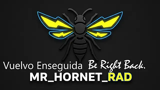 Snapshot of s_hornet chatting on May 4, 1:18 pm s hornet online show from May 4, 1:18 pm