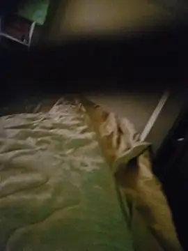 Xavlex0803 online show from April 17, 12:41 pm