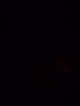 laperracobarde online show from January 13, 5:07 pm