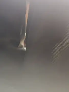 Snapshot of Cupalshow123 chatting on January 16, 11:14 am Cupalshow123 online show from January 16, 11:14 am