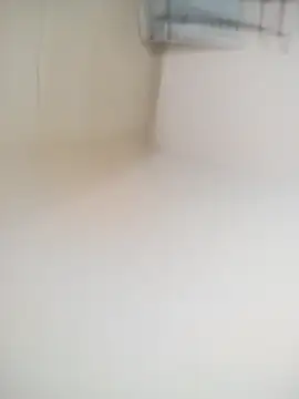 pene-rico13 online show from April 3, 1:47 am