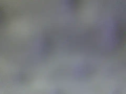 Minico25 online show from March 29, 2:44 am