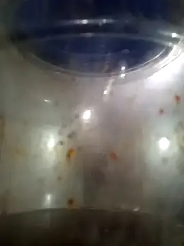 him220 online show from March 12, 2:07 am