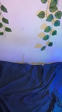 Isabella Belmont online show from April 14, 7:58 am