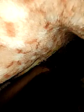 Snapshot of rohit16770 chatting on January 18, 7:06 pm rohit16770 online show from January 18, 7:06 pm