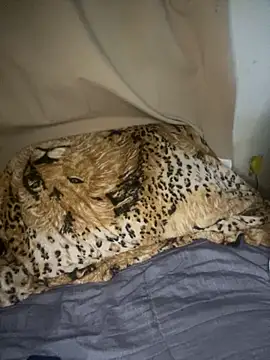 magneto01 online show from April 5, 2:09 am