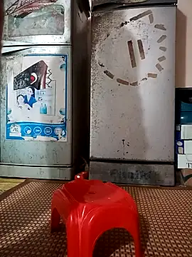 Snapshot of -Bunny-y chatting on January 8, 1:52 am -Bunny-y online show from January 8, 1:52 am