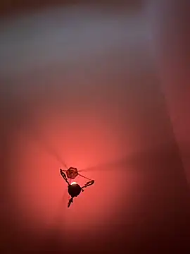 witchdub online show from February 18, 4:47 pm