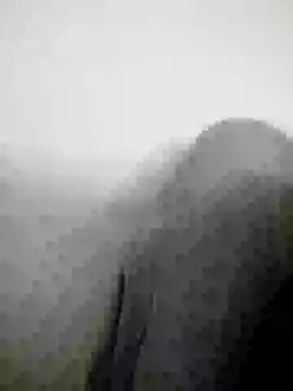 Scook Gray  online show from April 8, 6:08 pm