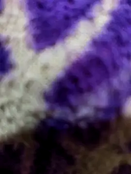 Snapshot of Gaonkadesiland chatting on January 15, 6:22 pm Gaonkadesiland online show from January 15, 6:22 pm