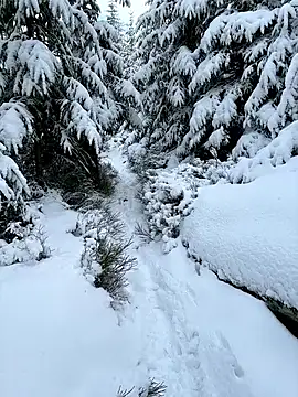 Marina und Jayden online show from February 18, 2:24 pm