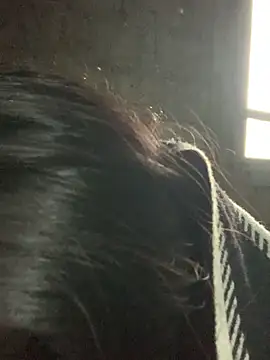 Naalyy online show from March 13, 3:24 am