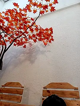 Dante Knox online show from April 5, 11:18 am