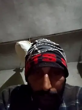 kulwantj online show from January 19, 2:26 am