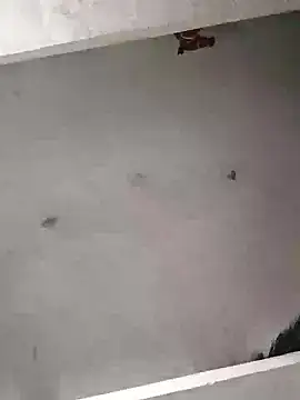 Snapshot of Mafiya0102 chatting on January 16, 5:50 pm Mafiya0102 online show from January 16, 5:50 pm