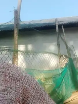 jjennyyy online show from January 12, 3:23 am