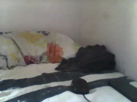 handsomeguy02 online show from April 14, 2:45 pm