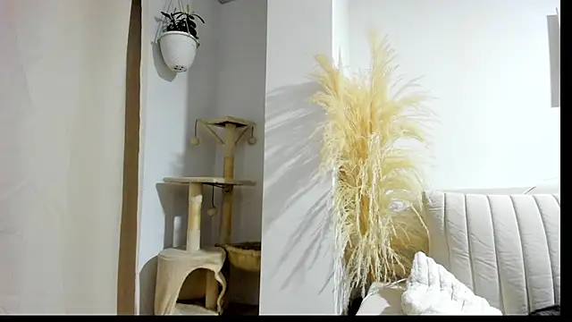  Sweet ary online show from April 8, 2:55 am