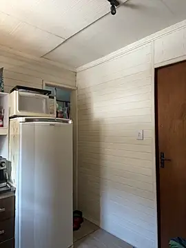 dogfrota online show from March 6, 2:46 pm