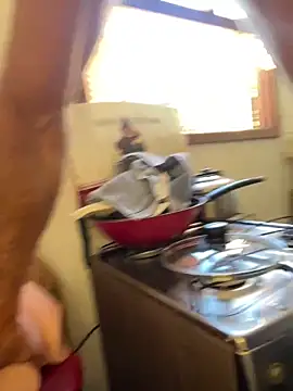 dogfrota online show from April 1, 1:12 pm