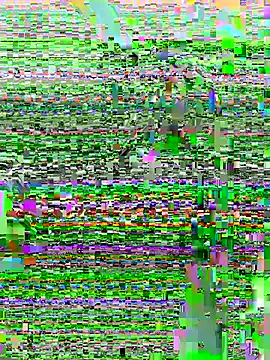 Snapshot of DouDou-- chatting on June 23, 2:37 pm DouDou-- online show from June 23, 2:37 pm