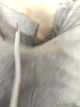 Snapshot of Bebun chatting on January 17, 3:00 am Bebun online show from January 17, 3:00 am