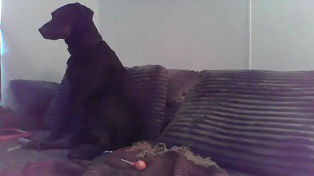 Snapshot of HungandHynotic chatting on March 3, 1:01 am HungandHynotic online show from March 3, 1:01 am