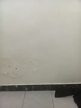 Snapshot of PatriciaVen chatting on February 3, 6:22 am PatriciaVen online show from February 3, 6:22 am