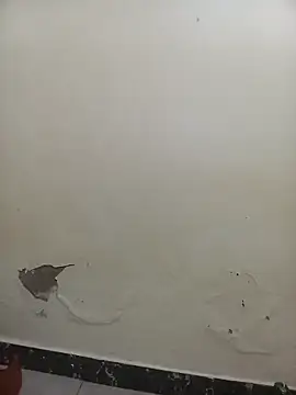 Snapshot of PatriciaVen chatting on February 7, 5:44 am PatriciaVen online show from February 7, 5:44 am