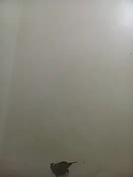 Snapshot of PatriciaVen chatting on February 10, 4:05 am PatriciaVen online show from February 10, 4:05 am