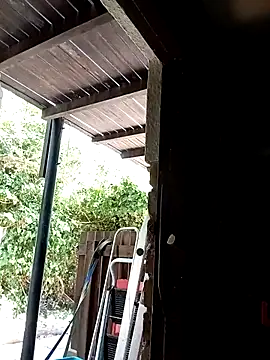 Snapshot of dicklife3485 chatting on February 3, 8:30 am dicklife3485 online show from February 3, 8:30 am