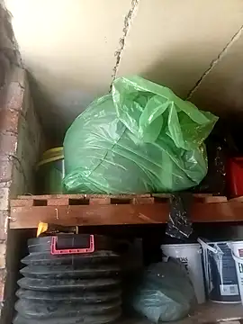 dicklife3485 online show from March 31, 10:37 am