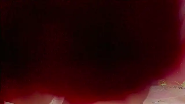 sweet  luna   online show from February 21, 11:00 am