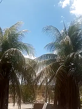  ---bucetuda    - online show from January 16, 4:22 pm