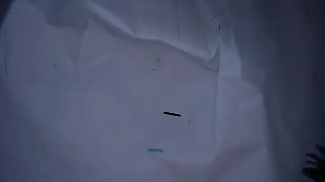 lx667788 online show from January 16, 3:27 pm