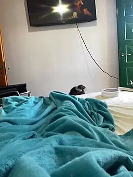 Cofla21cmm online show from January 17, 2:33 pm