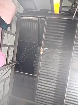 maisamim2 online show from March 21, 7:35 am