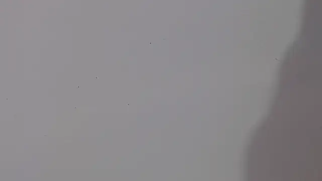 Snapshot of adara_cute_69 chatting on February 5, 6:12 pm adara cute 69 online show from February 5, 6:12 pm